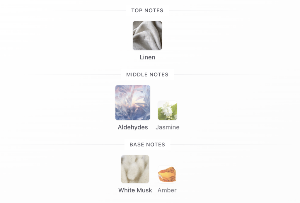 Fragrantica perfume notes chart for Zara Flower Please showing fragrance pyramid of floral and musk composition
