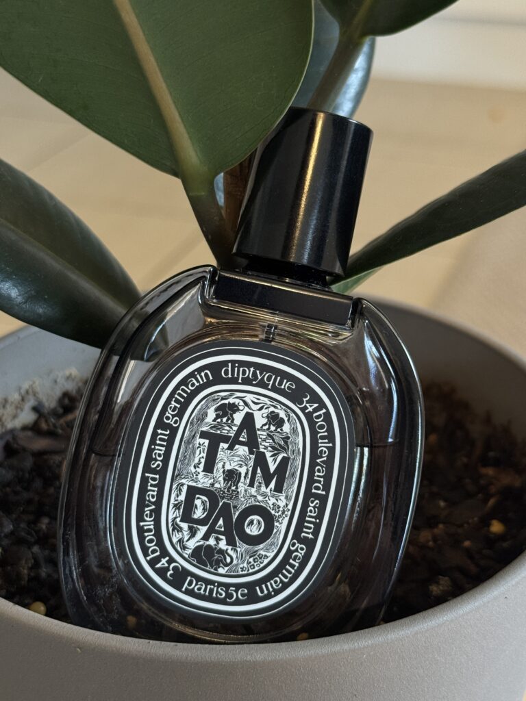 Diptyque Tam Dao EDP fragrance bottle in a natural outdoor setting